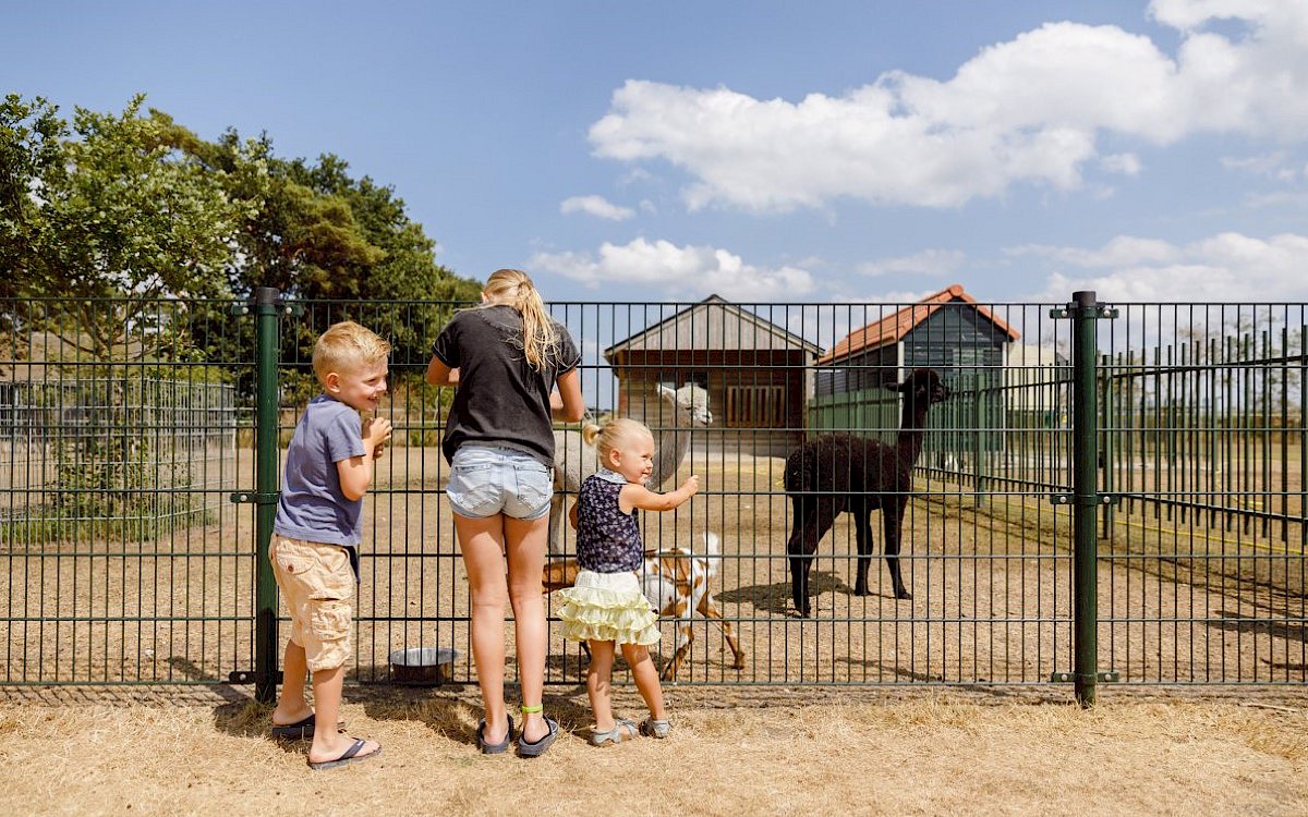 Vakantiepark De Flaasbloem