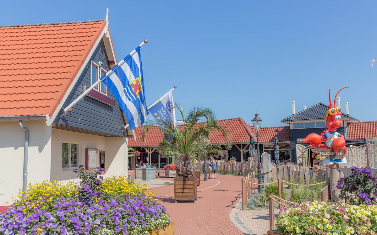 Camping Julianahoeve