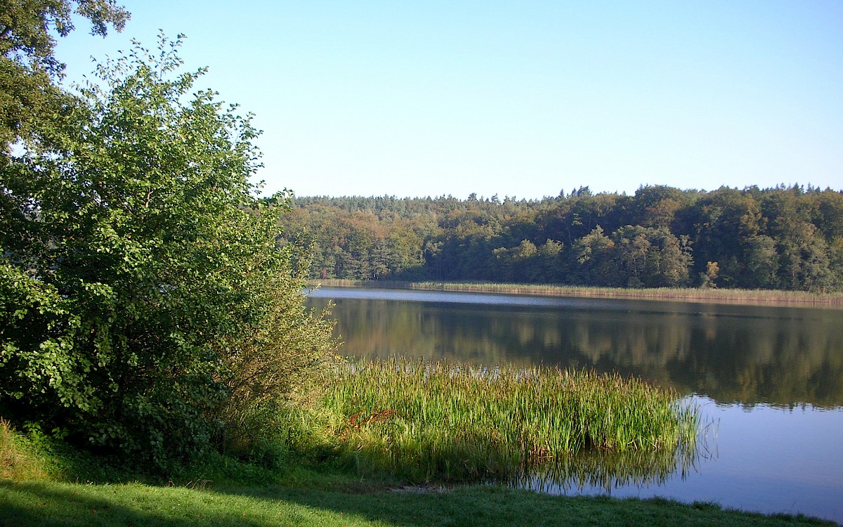 Campingplatz Rottstielfließ